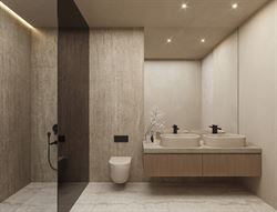 Project 035