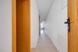 Larrosa 43