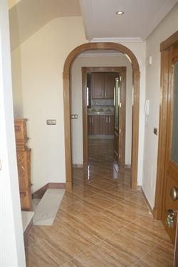 Monteolivo
