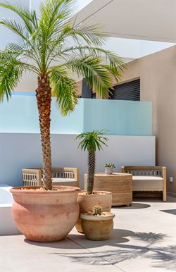Residencial Paris VIII