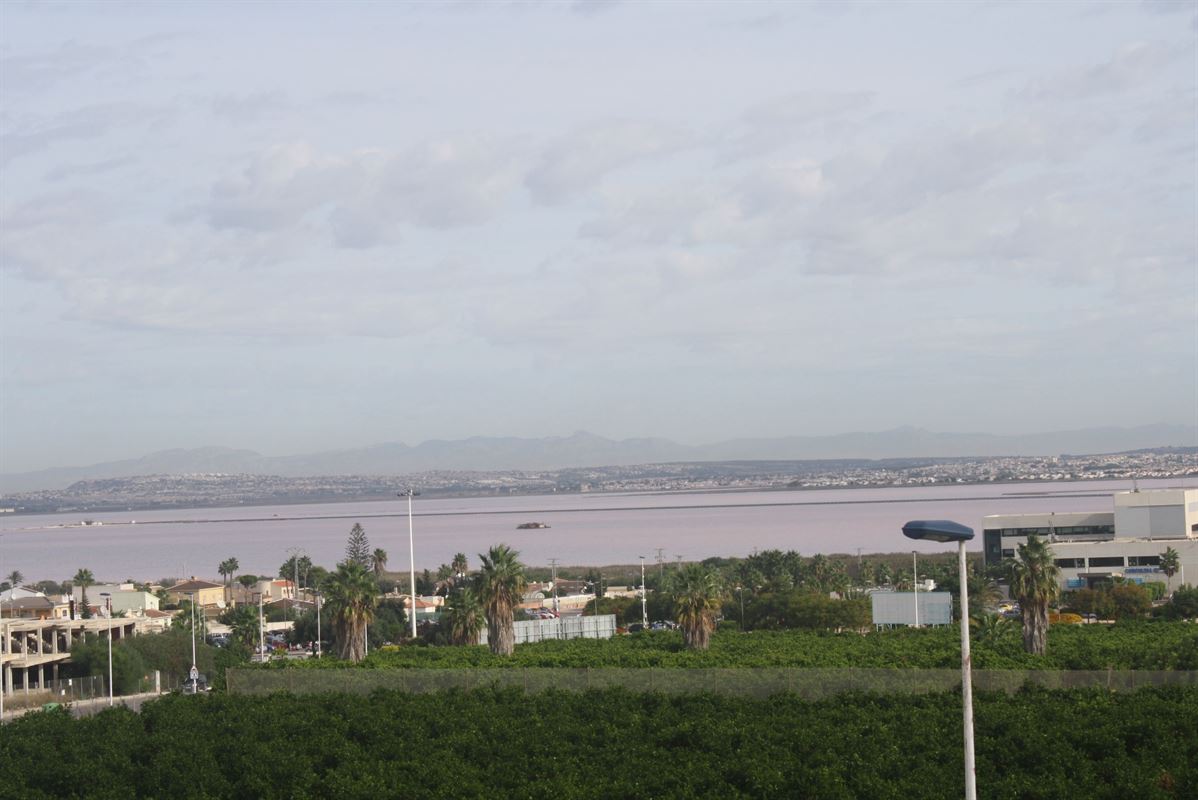 Viveros II