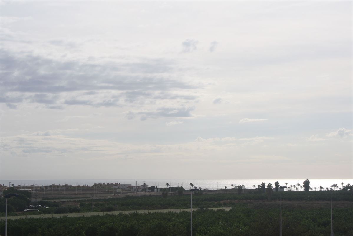 Viveros II
