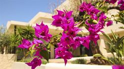 La Marina - Villa Anisa