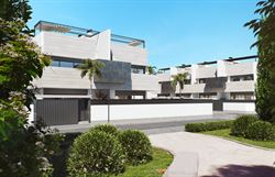 Pura Vida IV