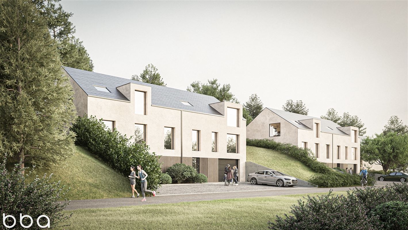 Le Brulis - Vue avant.png