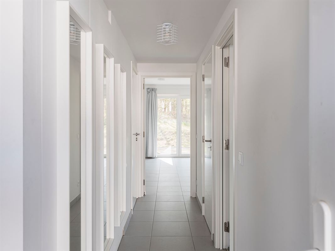 AB66-Whise-1.jpg