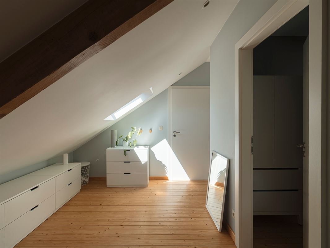 HLNB52-Whise-20.jpg