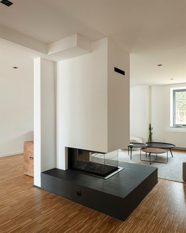 FV2-Whise-30.jpg
