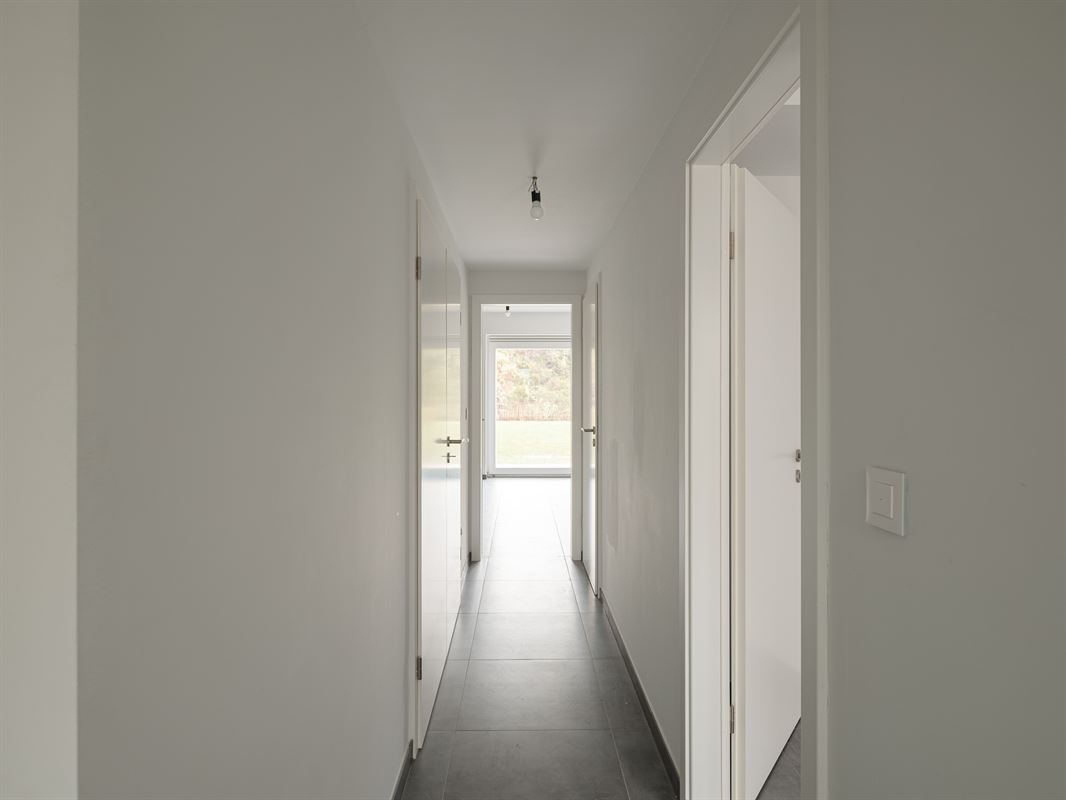 AC38L-Whise-5.jpg