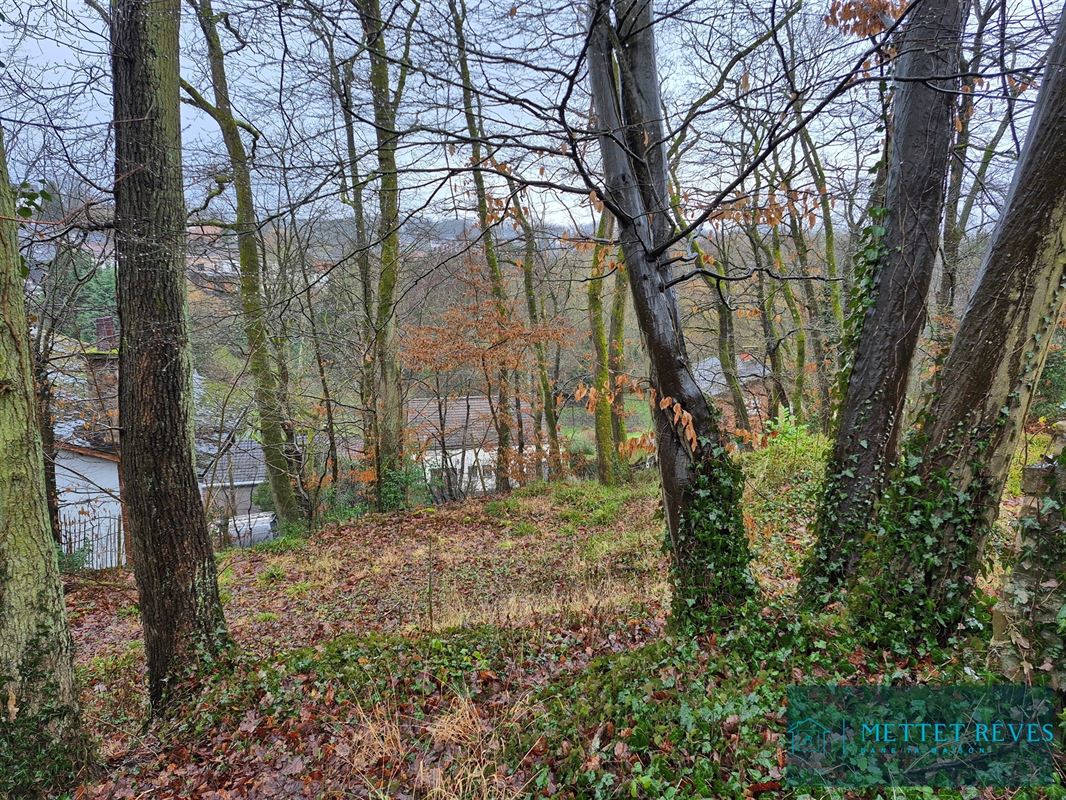 Terrain à bâtir dans un quartier résidentiel prisé.