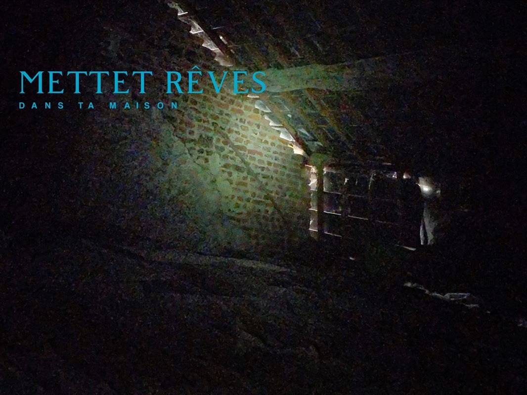 Maison de 3 façades+terrain à bâtir.