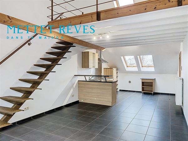 Superbe duplex 2 chambres avec mezzanine