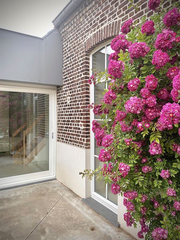 Charmante WONING (open bebouwing) met 3 SLAAPKAMERS, TUINTJE & TERRAS, zowel voor- als achteraan een OPEN GROEN ZICHT