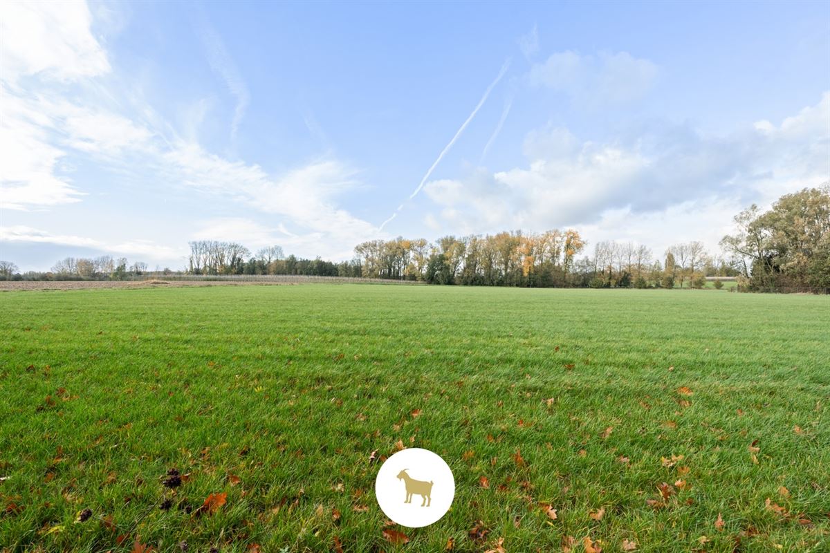 Perceel BOUWGROND (na afbraak bestaande bebouwing) voor OPEN BEBOUWING van ca. 954m² groot