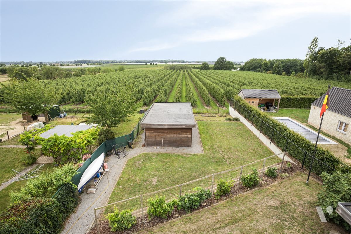 Energiezuinige woning met welness en uitzicht op boomgaard