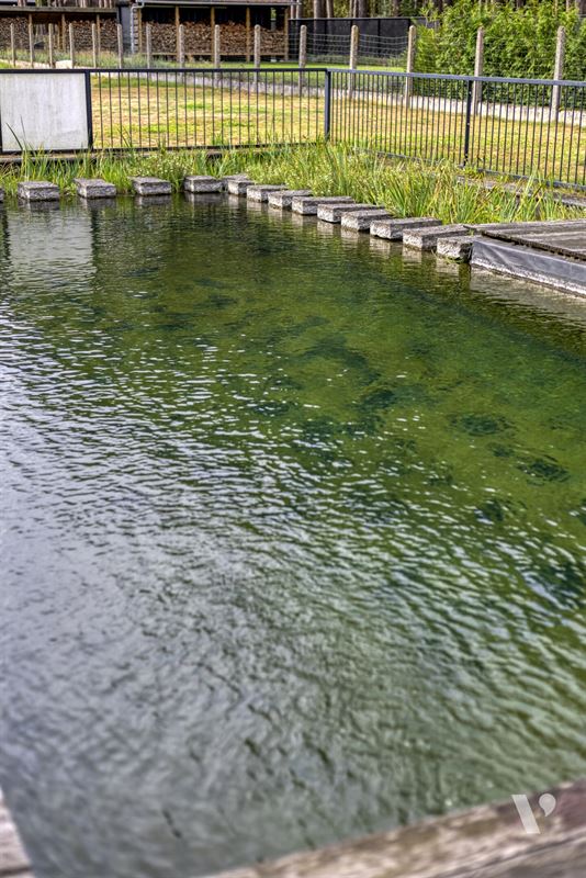 Prachtig gerenoveerde woning (279m²) met zwemvijver