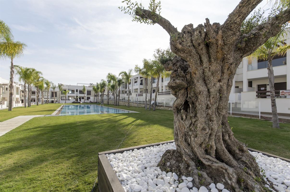 Image 6 : Apartment with garden IN 03181 Torrevieja (Spain) - Price 220.900 €