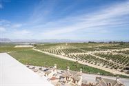 Foto 14 : Villa te 03169 La Finca Golf (Spanje) - Prijs € 965.000