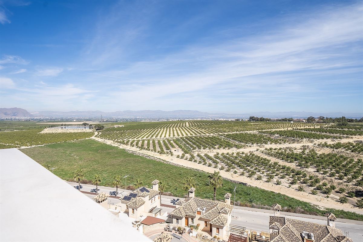 Foto 14 : Villa te 03169 La Finca Golf (Spanje) - Prijs € 520.000