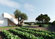 Foto 7 : Villa te 30320 Hacienda del Álamo golf (Spanje) - Prijs € 344.900