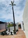 Image 14 : Villa IN 30590 Sucina (Spain) - Price 298.000 €