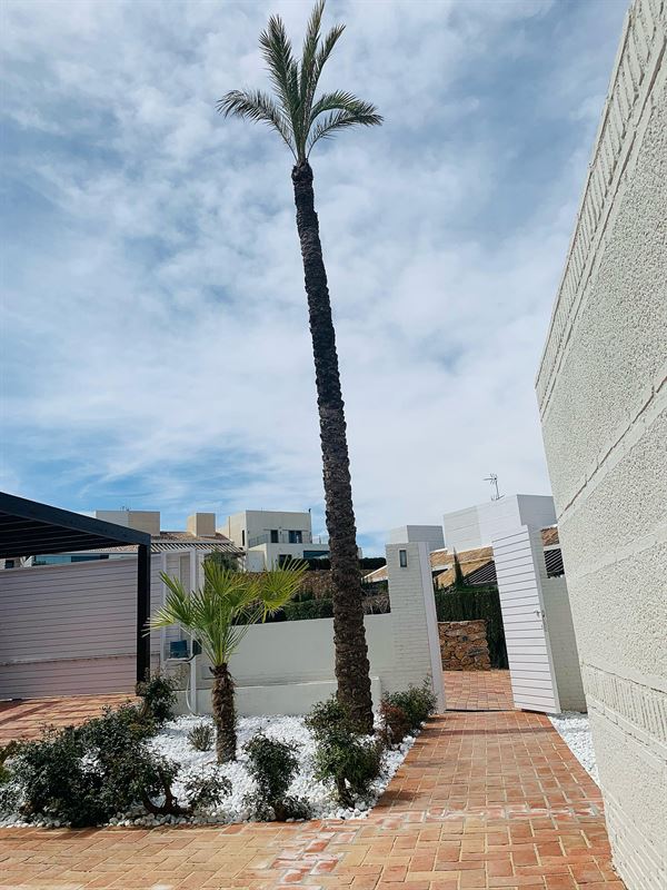 Image 14 : Villa IN 30590 Sucina (Spain) - Price 298.000 €