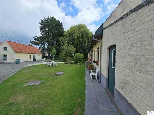 Foto 13 : hoeve te 9750 ZINGEM (België) - Prijs € 800.000