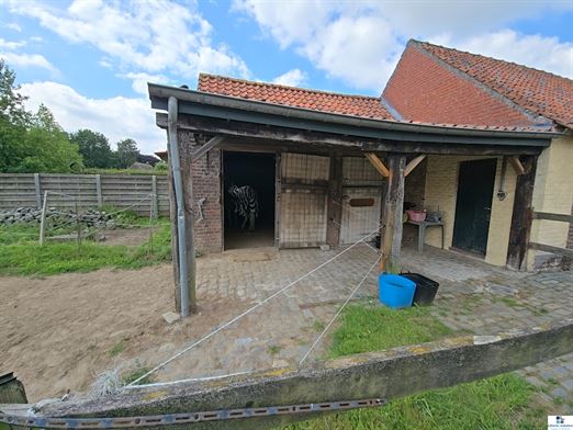 Foto 12 : hoeve te 9750 ZINGEM (België) - Prijs € 800.000