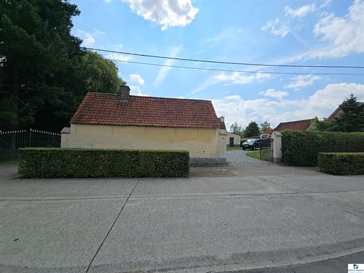 Foto 4 : hoeve te 9750 ZINGEM (België) - Prijs € 800.000