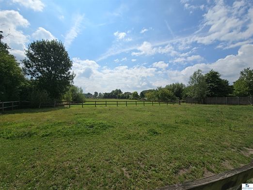 Foto 11 : hoeve te 9750 ZINGEM (België) - Prijs € 800.000