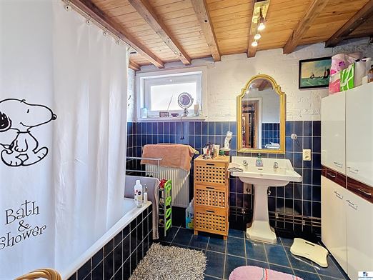 Foto 8 : hoeve te 9750 ZINGEM (België) - Prijs € 800.000