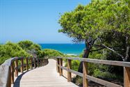 Image 12 : Apartment with garden à 03181 Torrevieja (Espagne) - Prix 287.000 €