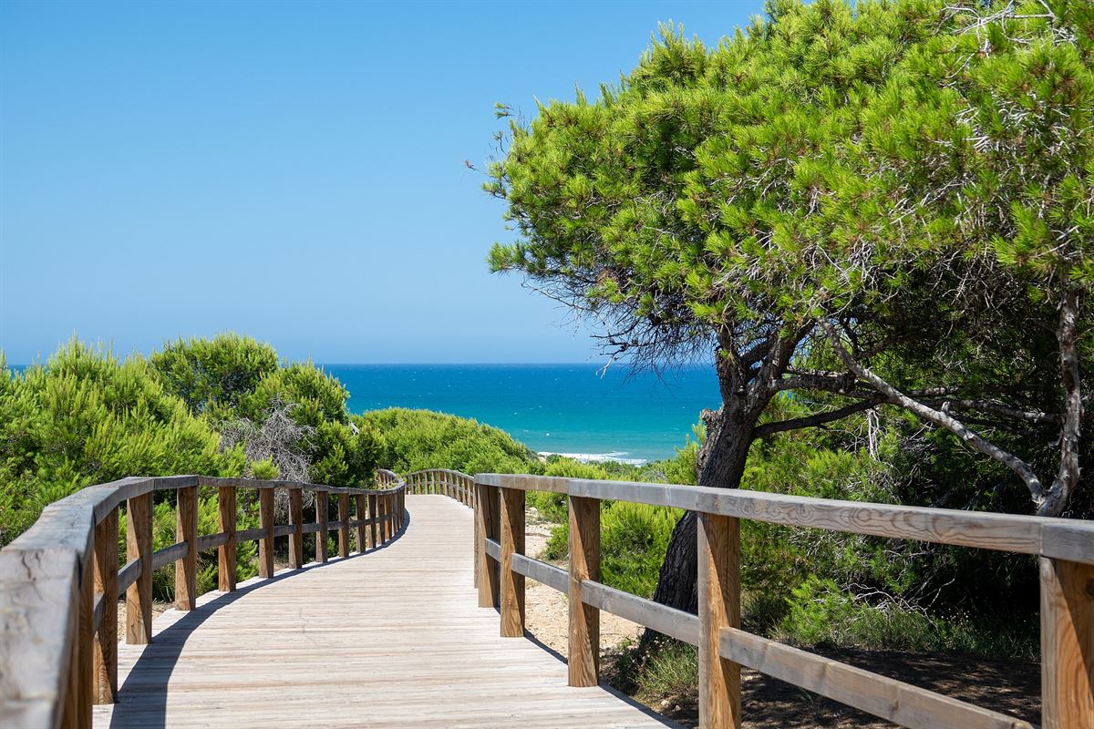Image 12 : Apartment with garden à 03181 Torrevieja (Espagne) - Prix 287.000 €