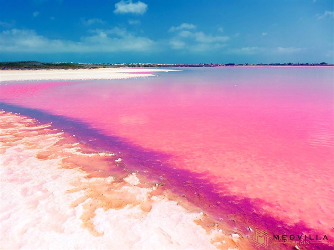 Image 13 : Apartment with terrace à 03181 Torrevieja (Espagne) - Prix 295.000 €