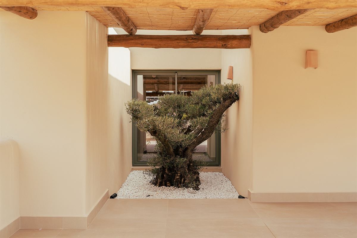 Image 8 : Villa IN 03730 Jávea (Spain) - Price 2.175.000 €