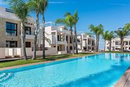 Image 16 : Apartments - solarium IN 03181 Torrevieja (Spain) - Price 315.000 &euro;