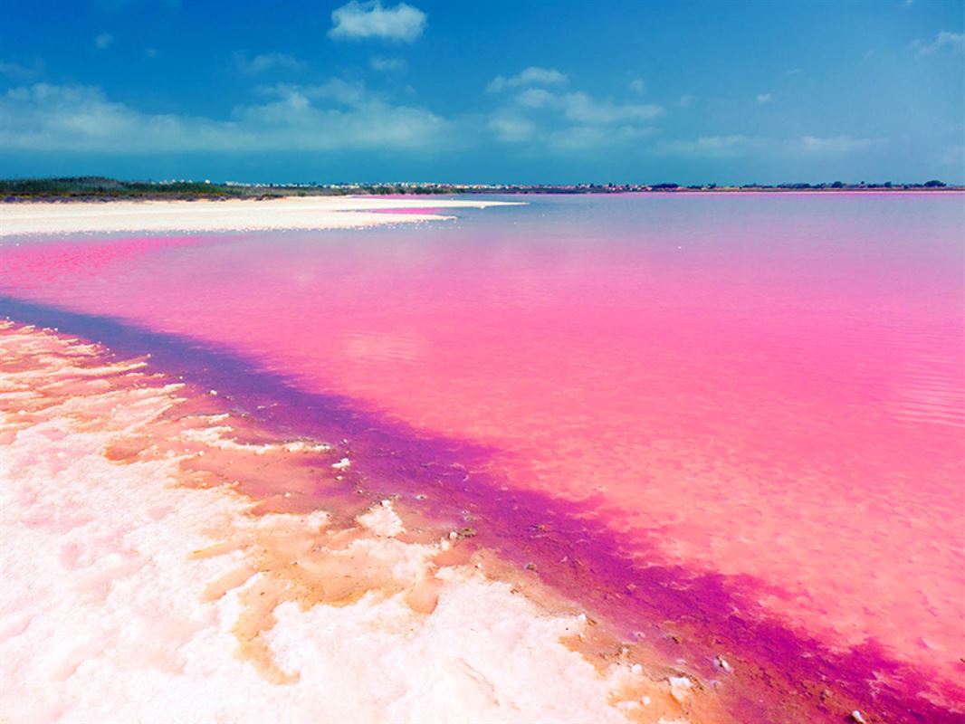 Foto 21 : Appartement met terras te 03181 Torrevieja (Spanje) - Prijs &euro; 298.000