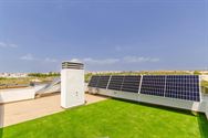 Image 7 : Villa à 03319 Vistabella Golf (Espagne) - Prix 449.000 &euro;