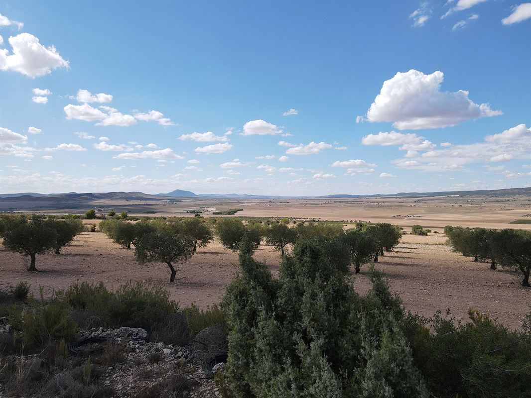 Image 20 : Villa à 30510 Yecla (Espagne) - Prix 950.000 &euro;
