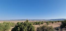 Image 24 : Villa à 30510 Yecla (Espagne) - Prix 950.000 &euro;
