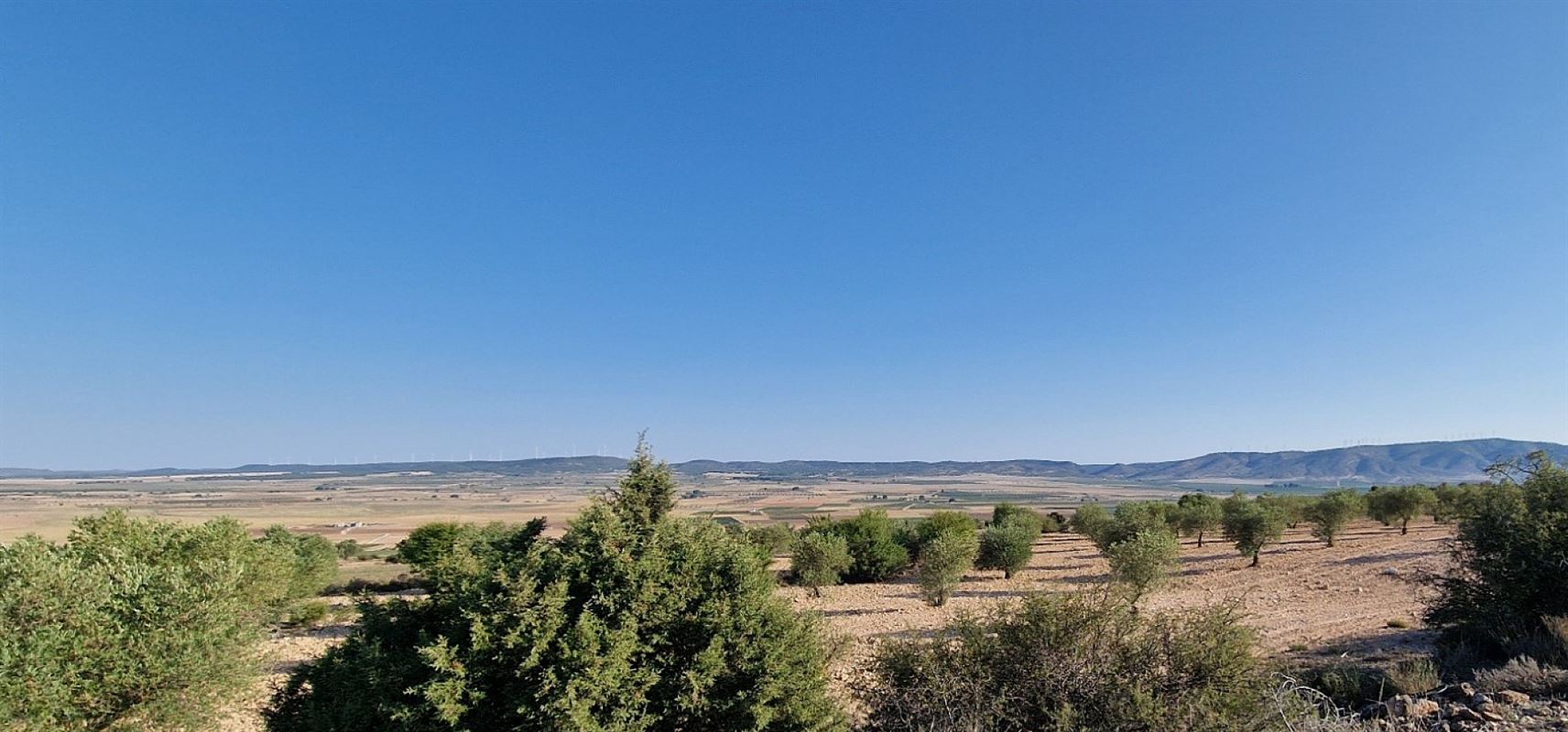 Image 24 : Villa à 30510 Yecla (Espagne) - Prix 950.000 &euro;