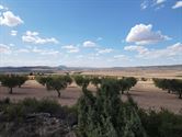 Image 20 : Villa à 30510 Yecla (Espagne) - Prix 950.000 &euro;