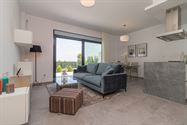 Image 15 : Apartments - solarium IN 03181 Torrevieja (Spain) - Price 340.000 &euro;