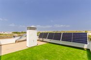 Image 28 : Villa à 03187 Los Montesinos (Espagne) - Prix 459.000 &euro;