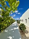 Image 33 : Villa à  Benijófar (Espagne) - Prix 589.000 &euro;