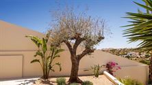 Image 21 :  à 03194 La Marina (Espagne) - Prix 1.497.750 &euro;
