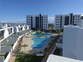Image 16 :  à 03191 Mil Palmeras (Espagne) - Prix 445.000 &euro;