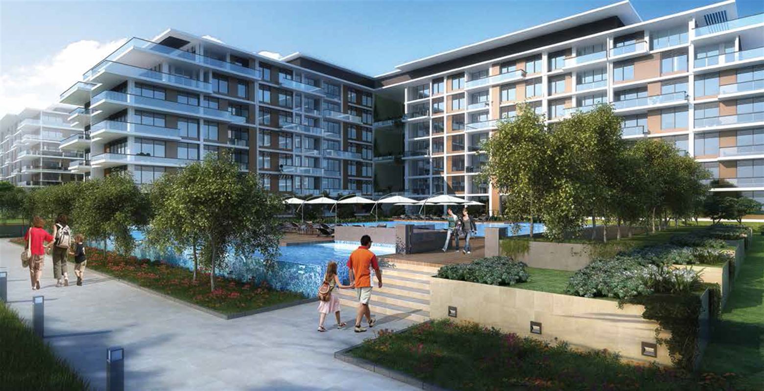 Mulberry in Park Heights