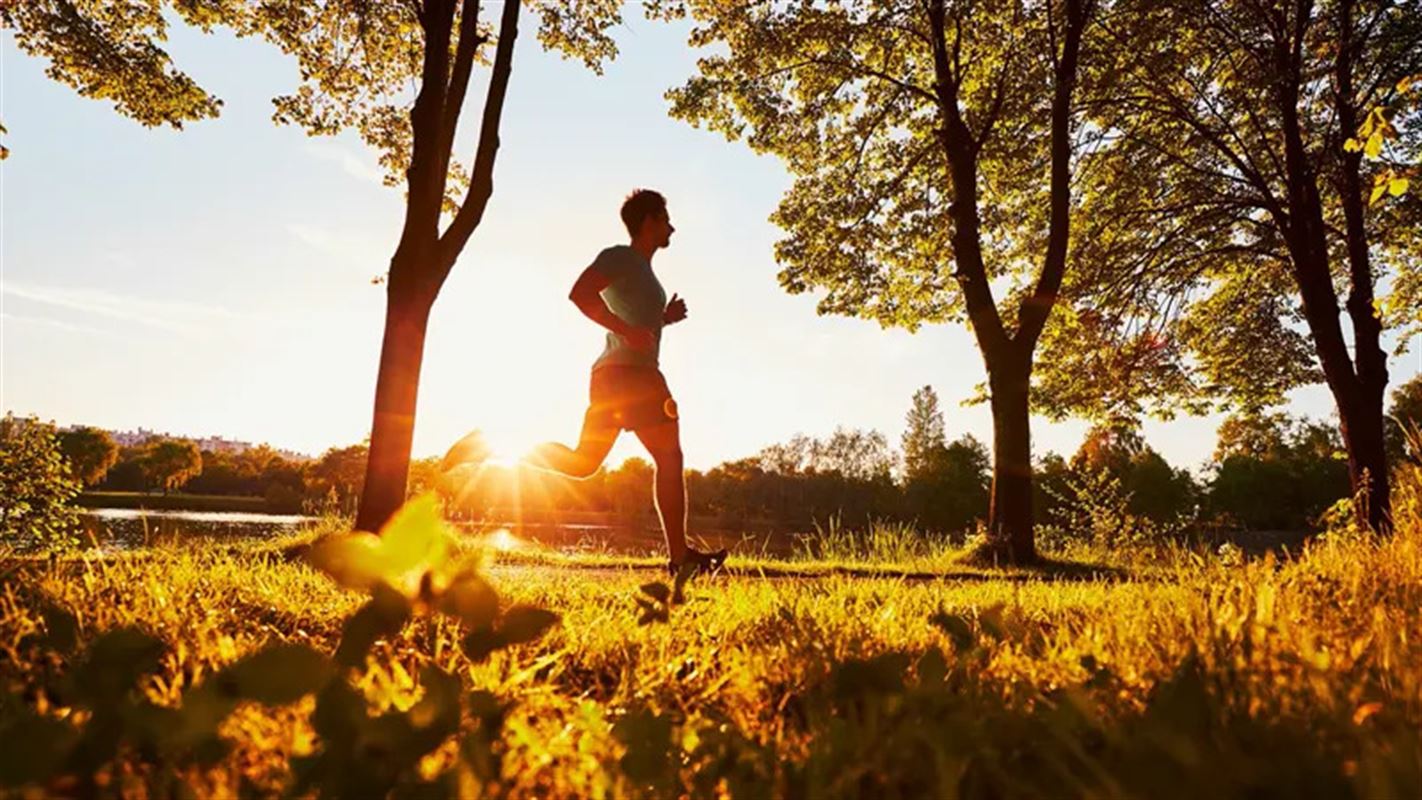 Green Wood by Nakheel