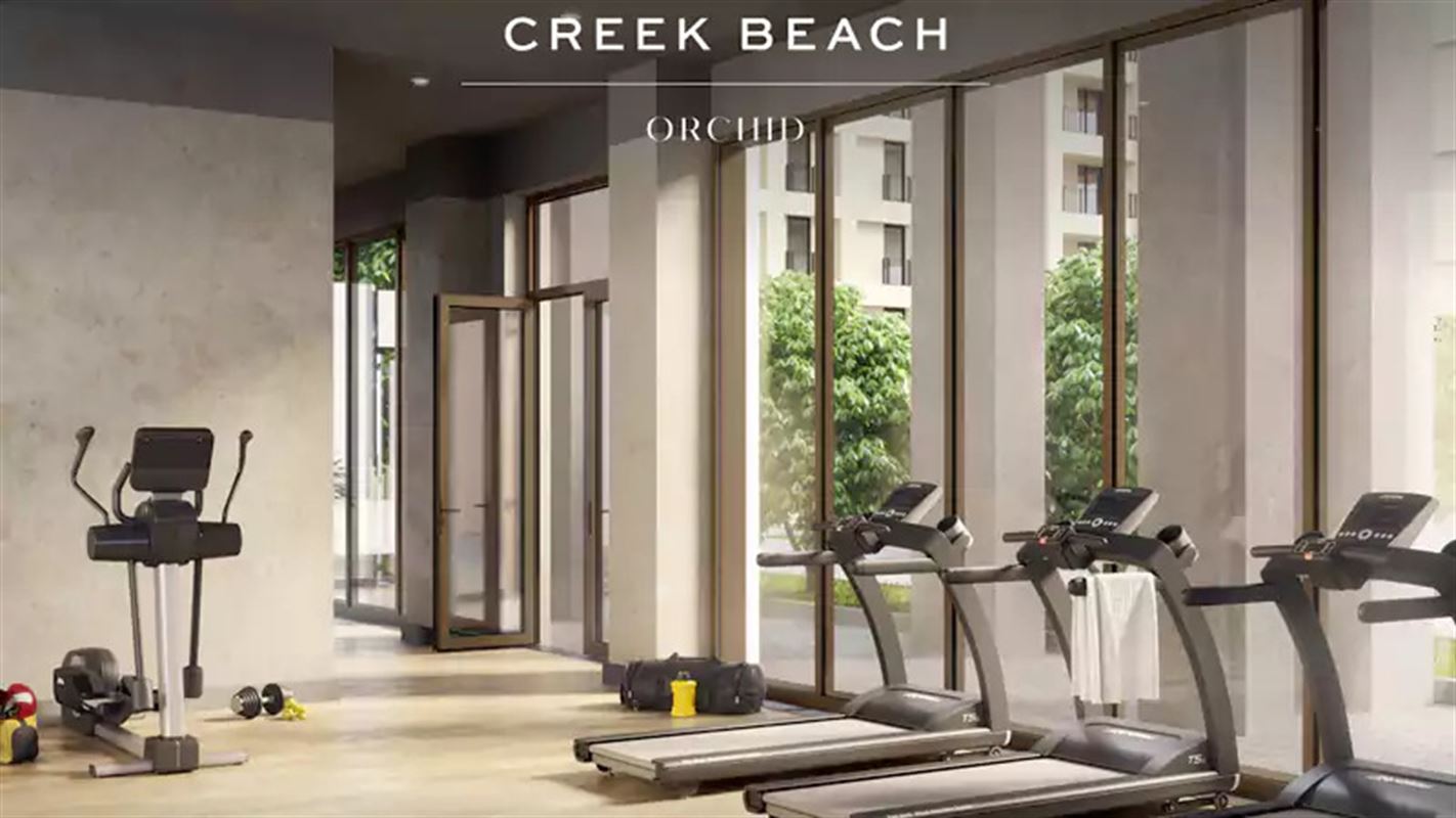 Orchid at Creek Beach